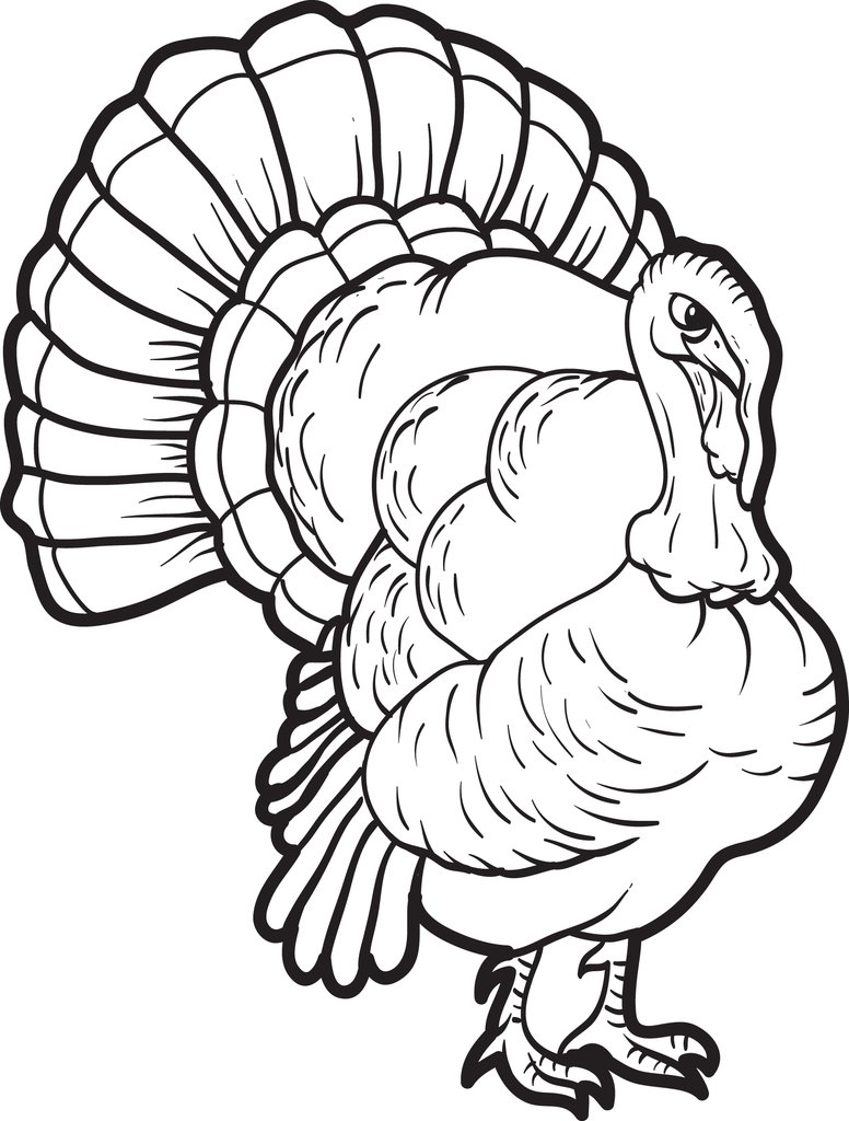 Free Printable Turkey Coloring Page For Kids 776x1024 Free Printable Turkey Coloring Page For Kids