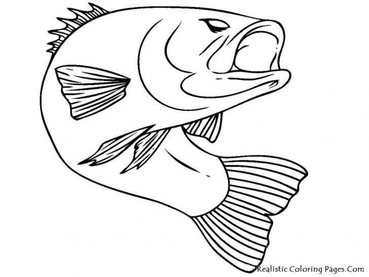 Coloring Pages Thanksgiving Turkey Bass Fish Realistic Fading 728x546 Coloring Pages Thanksgiving Turkey Bass Fish Realistic Fading