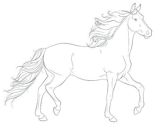 500x403 Printable Horse Head Coloring Pages Printable Coloring Realistic