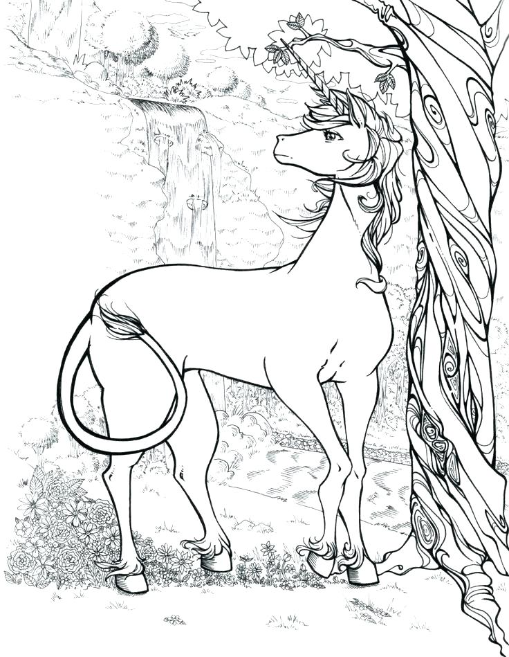 736x949 Unicorn Coloring Sheets For Adults And Realistic Unicorn Coloring