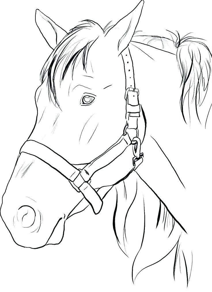 736x1013 Coloring Pages Of A Horse Also Coloring Pages Of A Horse Simple