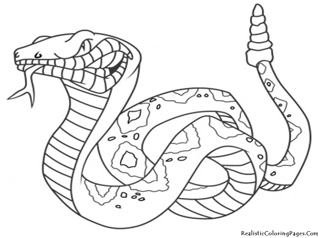 1024x768 Opportunities Coloring Pages Of A Snake