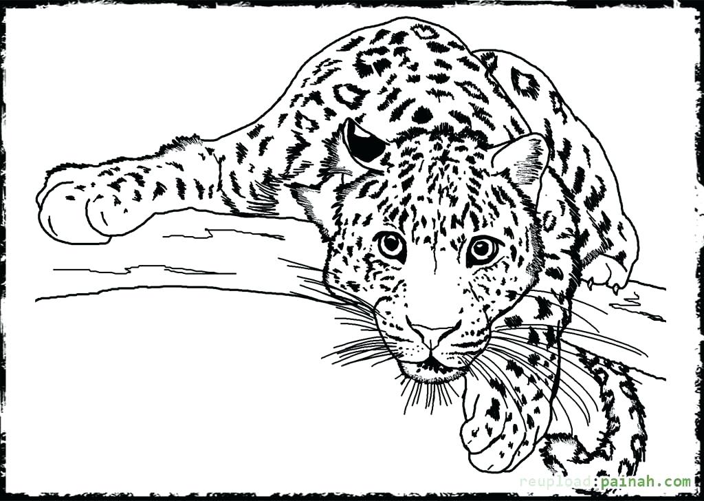 Realistic Leopard Coloring Pages 3