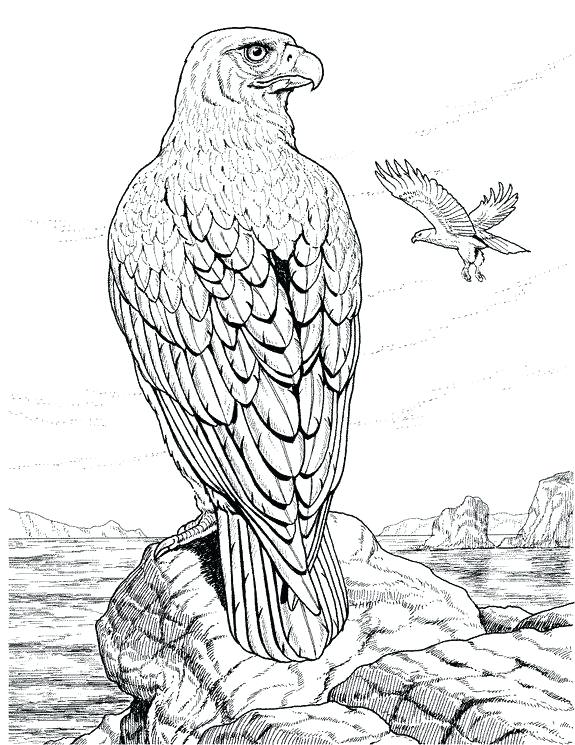 Wildlife Coloring Pages Detailed Coloring Pages For Adults 575x745 Wildlife Coloring Pages Detailed Coloring Pages For Adults