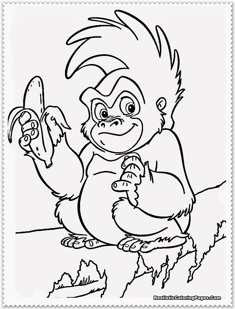Baby Forest Animals Coloring Pages 810x1066 Baby Forest Animals Coloring Pages