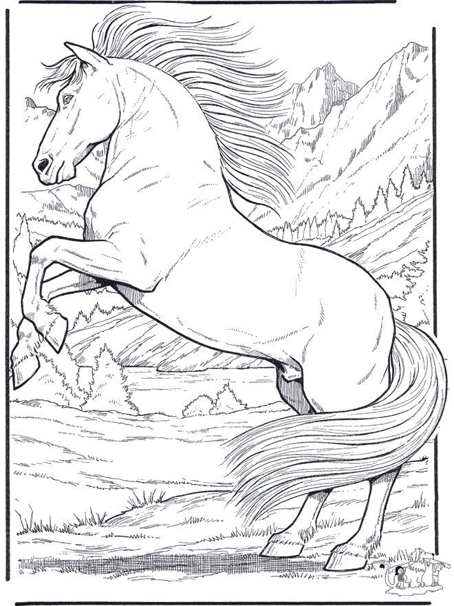 Realistic Animal Coloring Pages 01 Labels And Printables 660x880 Realistic Animal Coloring Pages 01 Labels And Printables