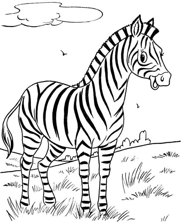 Realistic Zebra Coloring Pages