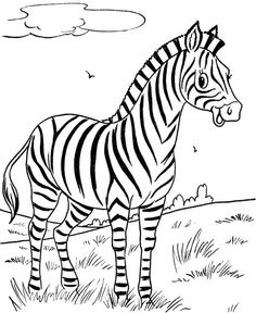 236x288 Free Printable Zebra Coloring Pages For Kids Coloring Pages