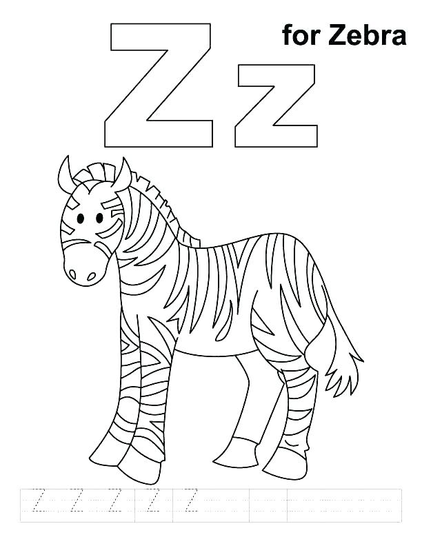 612x792 Baby Zebra Coloring Pages Baby Zebra Coloring Pages Baby Pictures