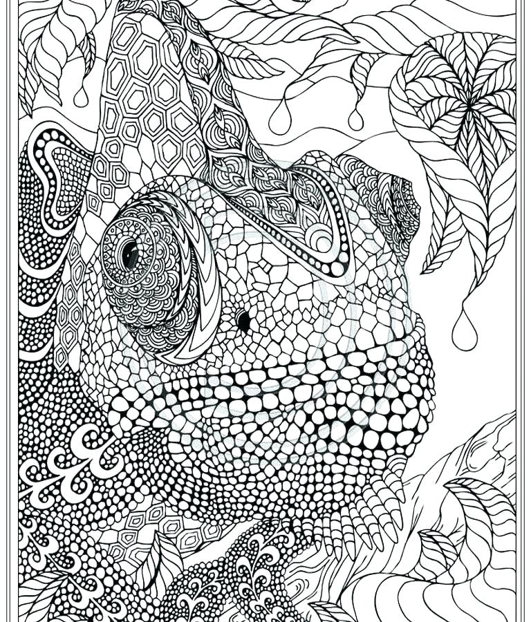 Intricate Coloring Page Free Intricate Coloring Pages Really 768x900 Intricate Coloring Page Free Intricate Coloring Pages Really