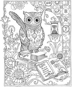 Livro Jardim Secreto Dover Publications, Owl And Coloring Books 236x286 Livro Jardim Secreto Dover Publications, Owl And Coloring Books