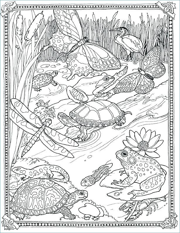Detailed Coloring Pages 615x794 Detailed Coloring Pages