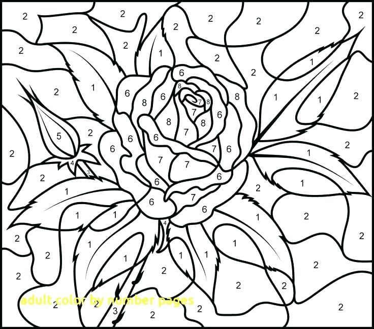 736x648 Hard Color By Number Pages Color By Number Coloring Pages Color By