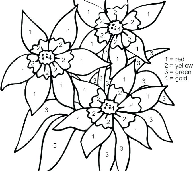 678x600 Color By Numbers Coloring Pages Flower Color By Number Color