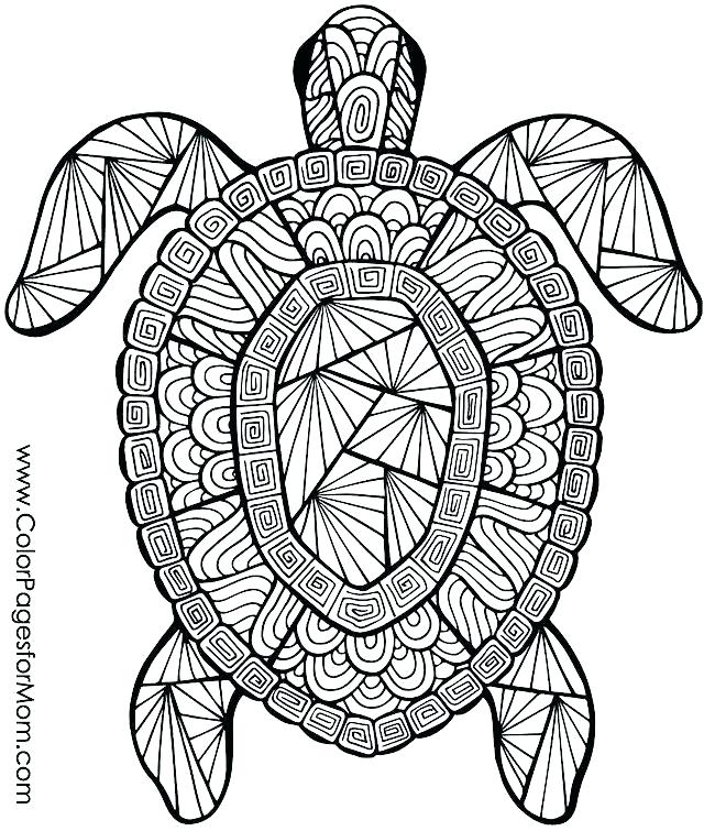 Hard Animal Coloring Pages Animal Coloring Page Best Animal 640x755 Hard Animal Coloring Pages Animal Coloring Page Best Animal