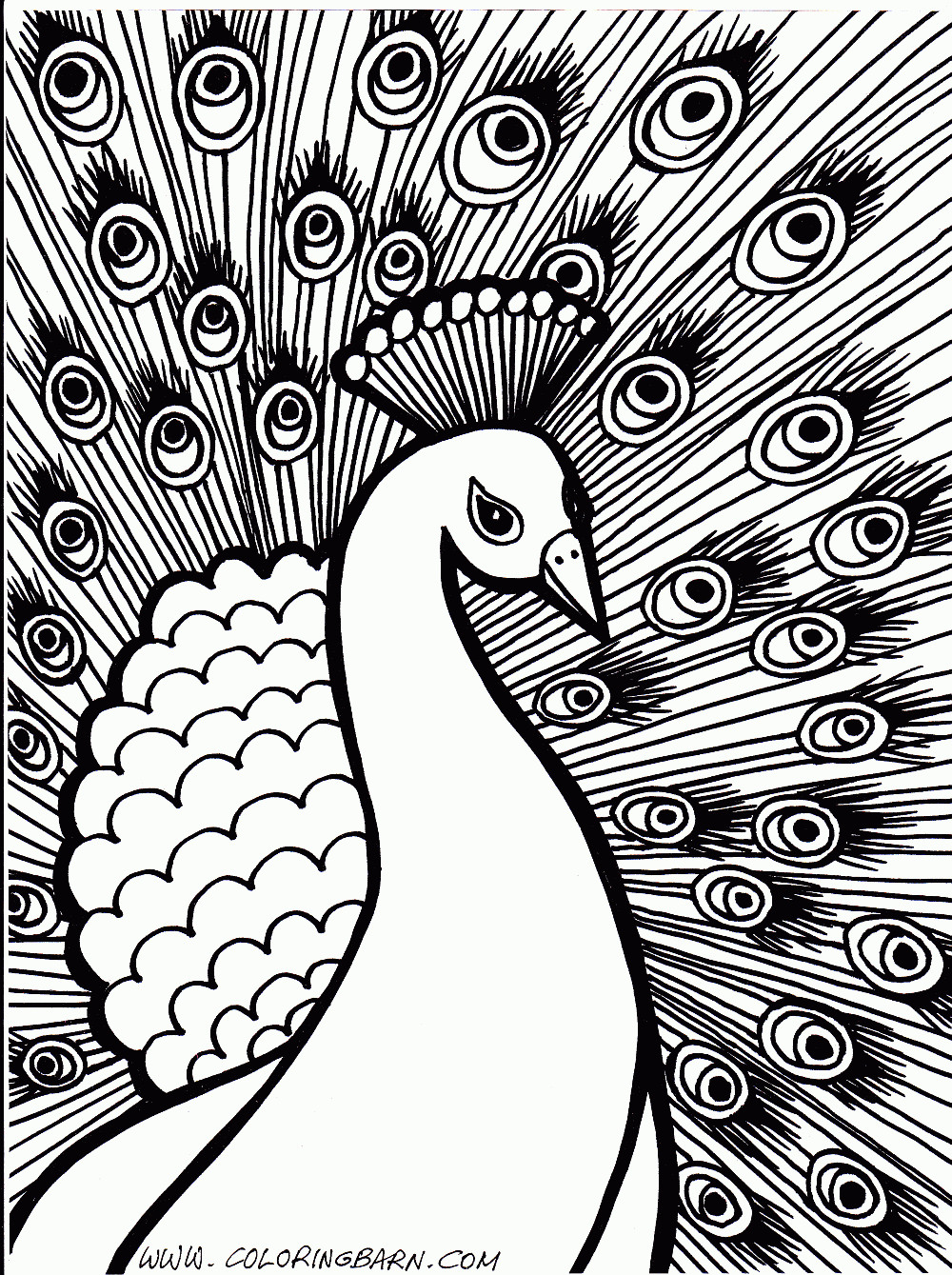 Hard Coloring Pages Humming Belles New Undersea Illustrations 1000x1339 Hard Coloring Pages Humming Belles New Undersea Illustrations