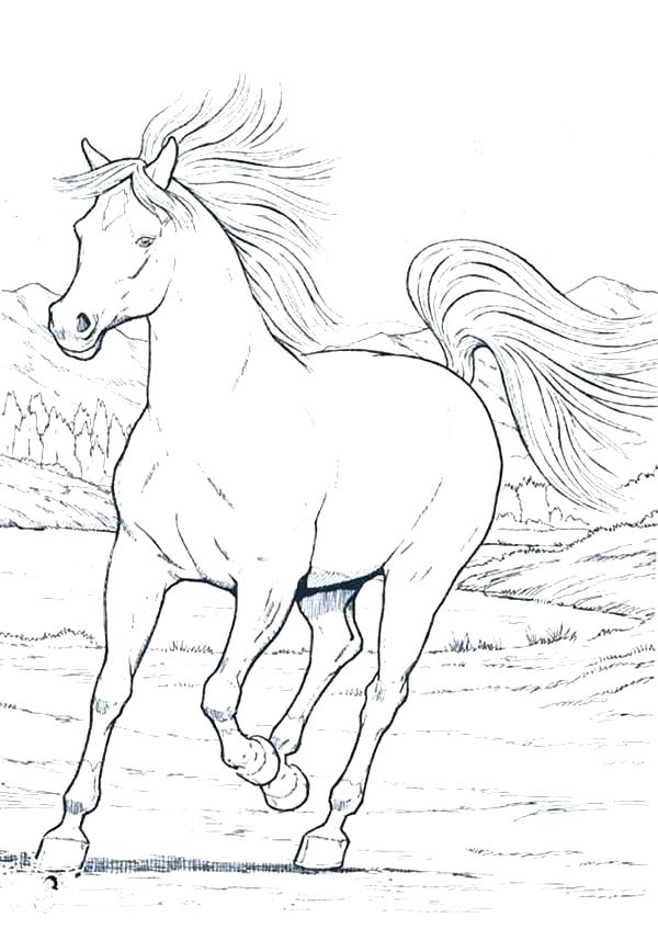 Horse Printable Coloring Pages Rearing Horse Coloring Pages Free 600x847 Horse Printable Coloring Pages Rearing Horse Coloring Pages Free