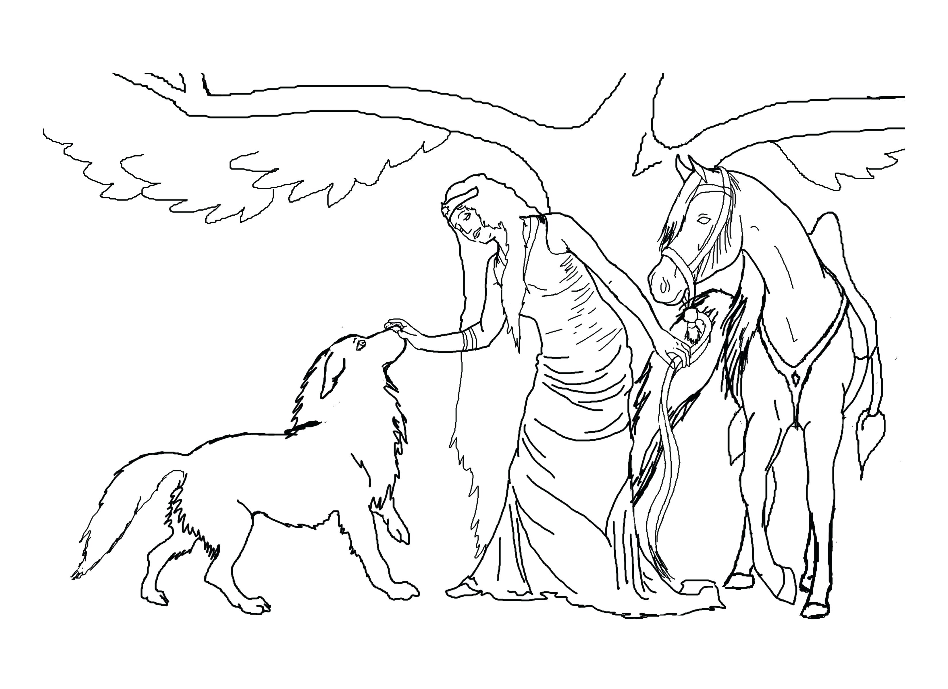Horse Rearing Up Coloring Pages Astounding With Horses In Page 3300x2400 Horse Rearing Up Coloring Pages Astounding With Horses In Page