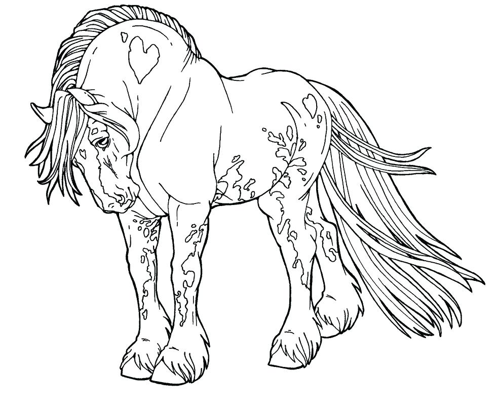 How To Draw Horse Coloring Pages Animals For Kids Art Colors 981x814 How To Draw Horse Coloring Pages Animals For Kids Art Colors