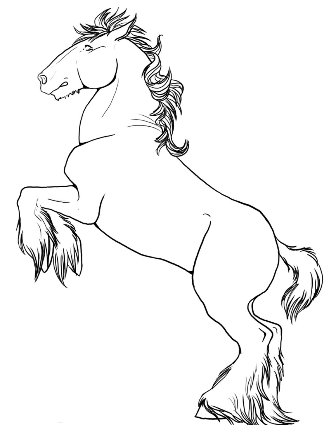 How To Draw A Horse Rearing Pictures Free Coloring Pages 1092x1382 How To Draw A Horse Rearing Pictures Free Coloring Pages