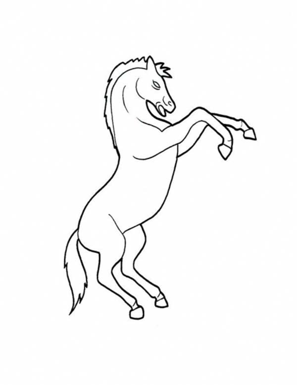 Picture Of Horse Rearing In Horses Coloring Page 600x778 Picture Of Horse Rearing In Horses Coloring Page