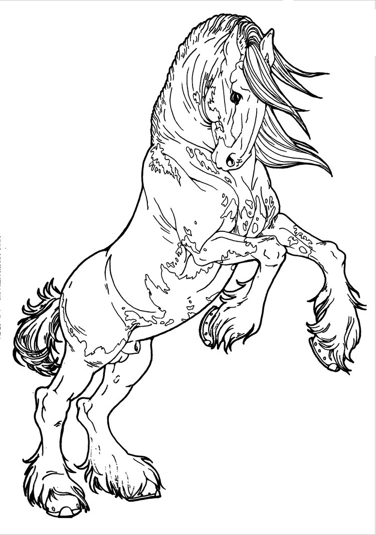 Realistic Rearing Horse Coloring Pages 750x1066 Realistic Rearing Horse Coloring Pages