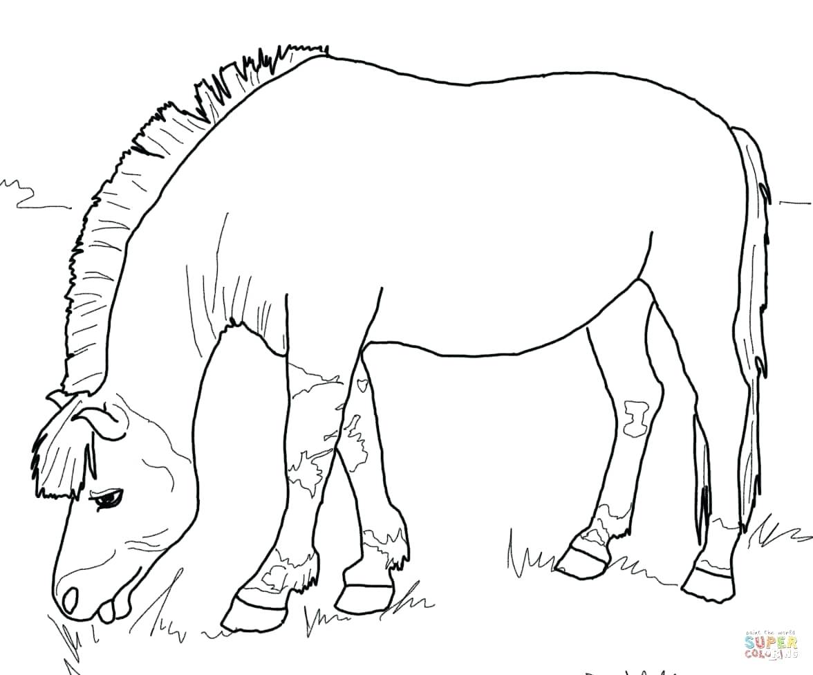 Rearing Horse Coloring Page Free Printable Pages Walking In Horses 1176x976 Rearing Horse Coloring Page Free Printable Pages Walking In Horses