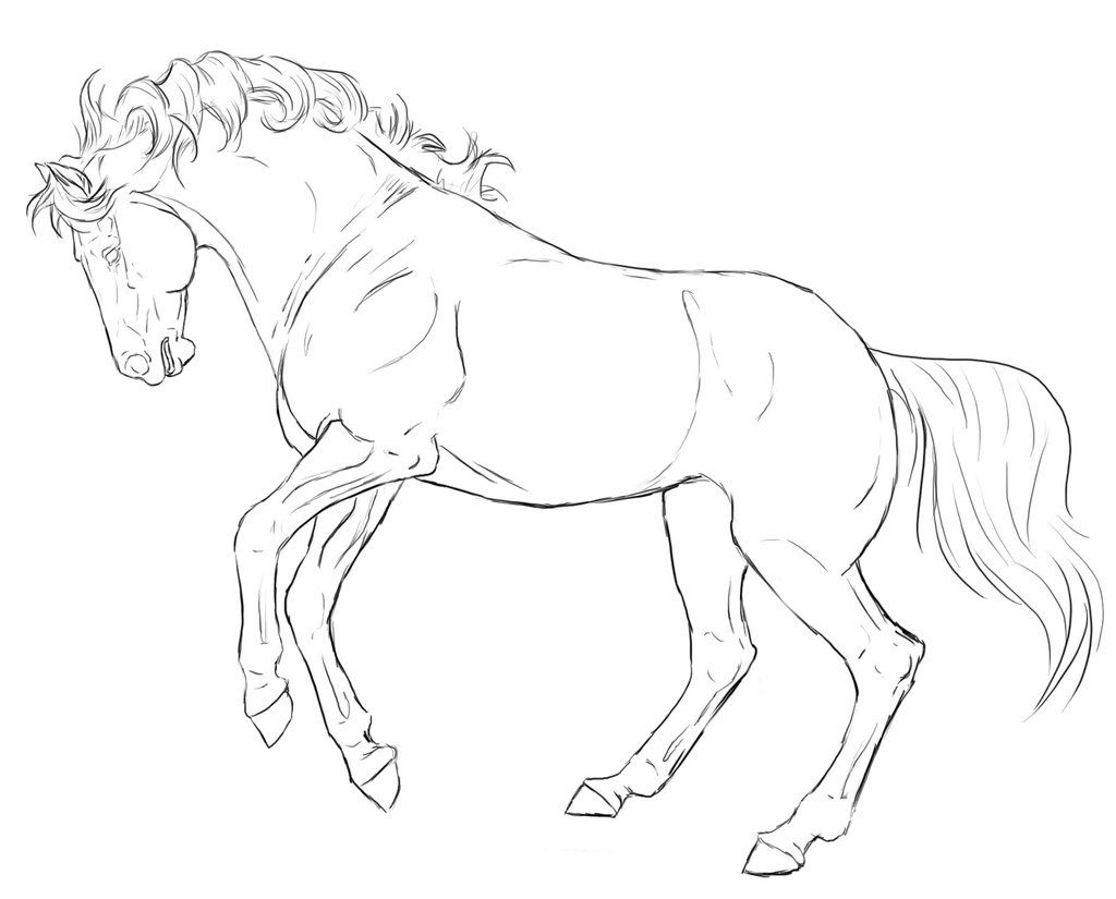 Rearing Horse Line Art By 1024x825 Rearing Horse Line Art By