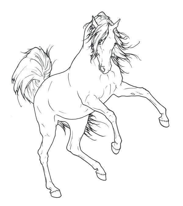 Arabian Horse Coloring Pages 600x674 Arabian Horse Coloring Pages