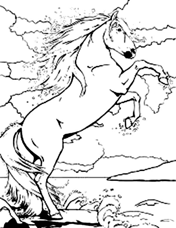 Bella The Magical Horse Rearing Coloring Pages Batch Coloring 600x777 Bella The Magical Horse Rearing Coloring Pages Batch Coloring