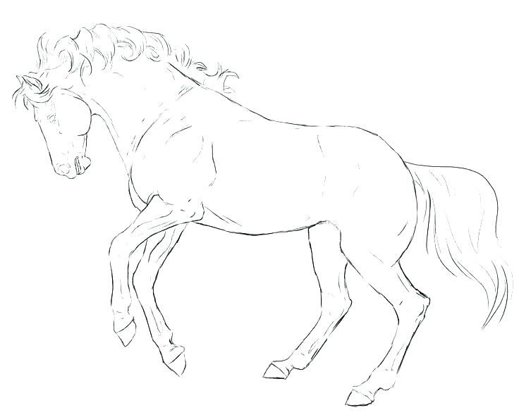 Breyer Coloring Pages Horse Coloring Pages Coloring Pages Free 736x592 Breyer Coloring Pages Horse Coloring Pages Coloring Pages Free