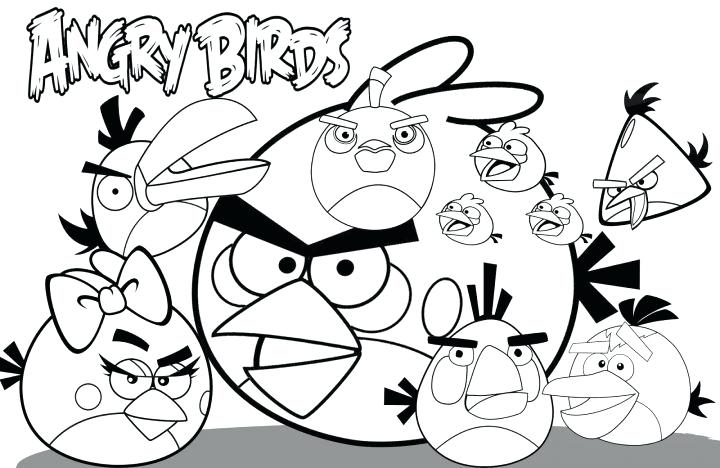Coloring Pages Coloring Birds Pictures Angry Birds Angry Birds 720x468 Coloring Pages Coloring Birds Pictures Angry Birds Angry Birds