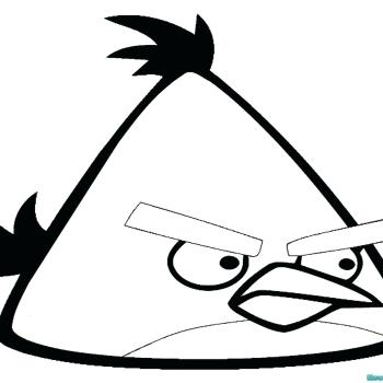Angry Birds Blue Bird Coloring Pages Red Bird Coloring Page Free 350x350 Angry Birds Blue Bird Coloring Pages Red Bird Coloring Page Free