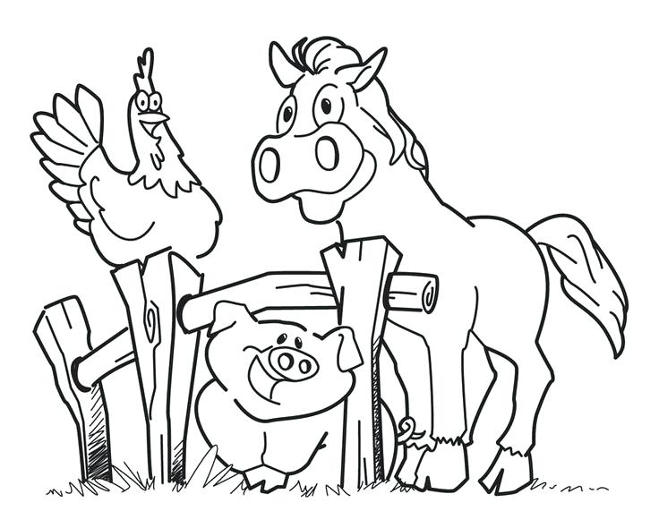 Red Barn Coloring Books 736x590 Red Barn Coloring Books