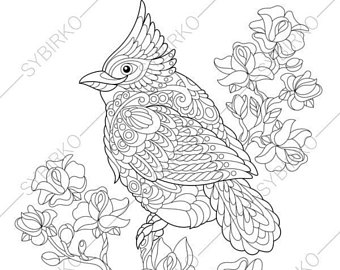 Bird Coloring Book Etsy 340x270 Bird Coloring Book Etsy