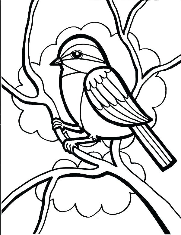 Red Cardinal Bird Coloring Page Red Angry Bird Coloring Pages 600x781 Red Cardinal Bird Coloring Page Red Angry Bird Coloring Pages