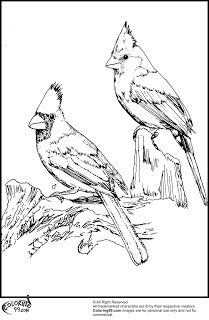 209x320 Two Red Cardinals Coloring Page From Northern Cardinal Category