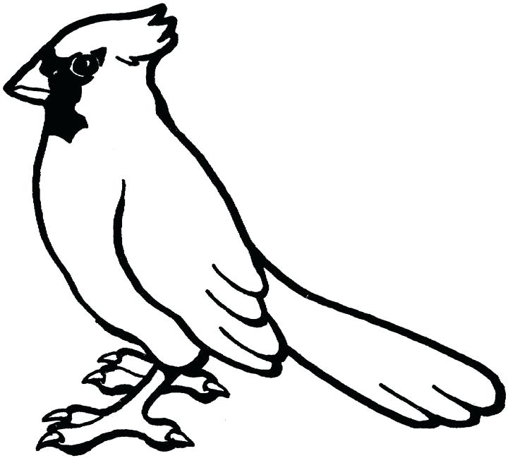 Red Cardinal Coloring Page at GetColorings.com | Free printable ...