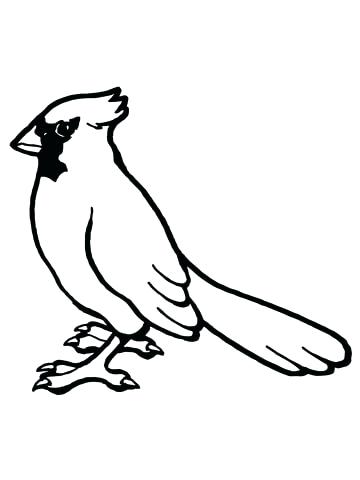 360x480 Cardinal Bird Coloring Page Cardinal Coloring Pages For Red