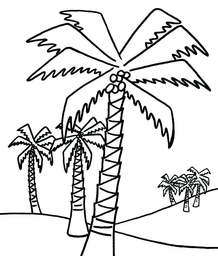 728x853 Bare Tree Branches Coloring Page Maple Tree Coloring Page Leaves