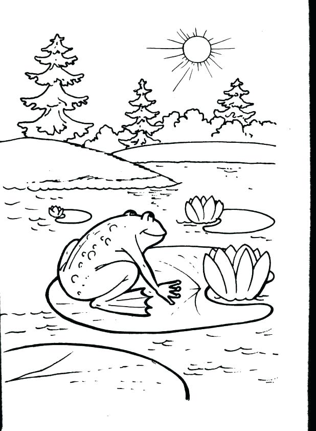 Red Eyed Tree Frog Coloring Page Coloring Pages Frogs To Frog Red 618x842 Red Eyed Tree Frog Coloring Page Coloring Pages Frogs To Frog Red