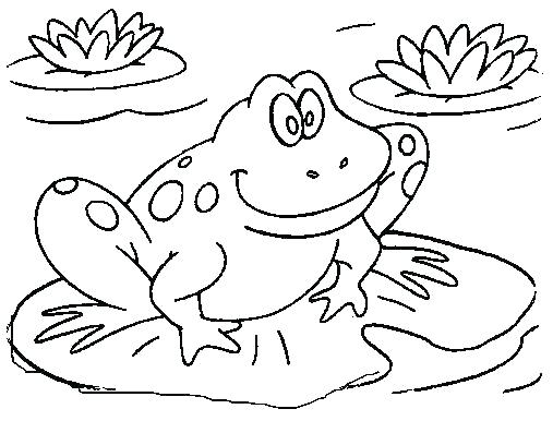 Coloring Page Of A Frog Coloring Pages Of Frogs Frog Color Page 507x408 Coloring Page Of A Frog Coloring Pages Of Frogs Frog Color Page