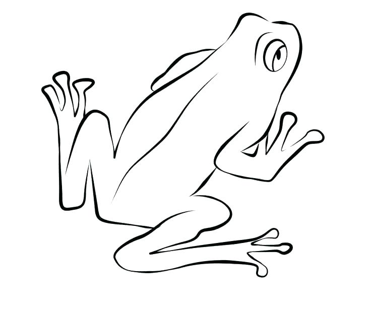 Coloring Page Of A Frog Printable Frog Coloring Pages Frogs 736x644 Coloring Page Of A Frog Printable Frog Coloring Pages Frogs