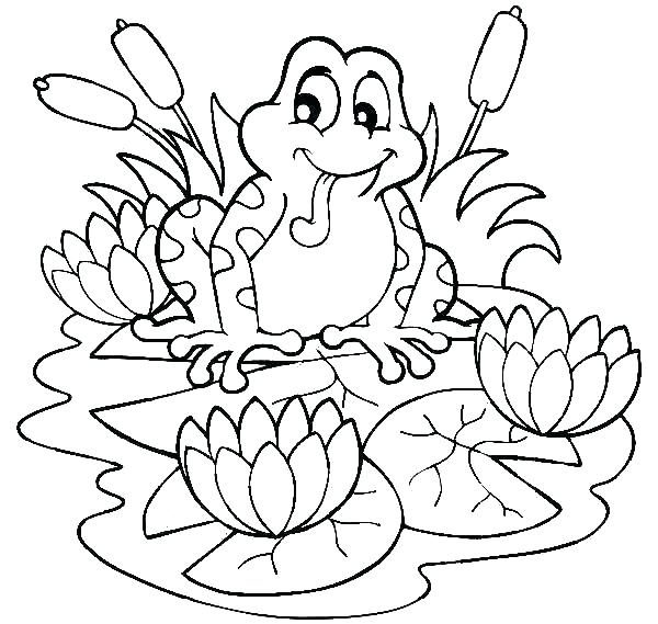 Lotus Flower Coloring Page Lotus Flower Coloring Page Frog 600x569 Lotus Flower Coloring Page Lotus Flower Coloring Page Frog