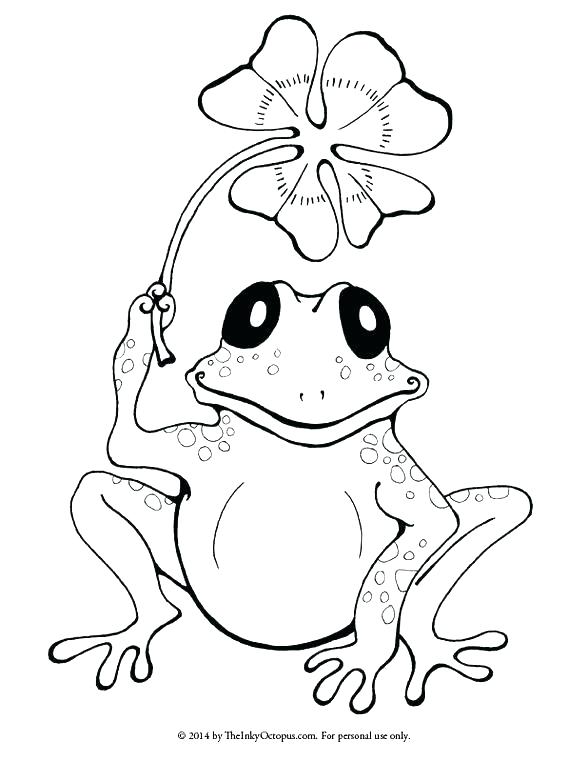 Printable Coloring Pictures Of Frogs Printable Coloring Red Eyed 588x762 Printable Coloring Pictures Of Frogs Printable Coloring Red Eyed