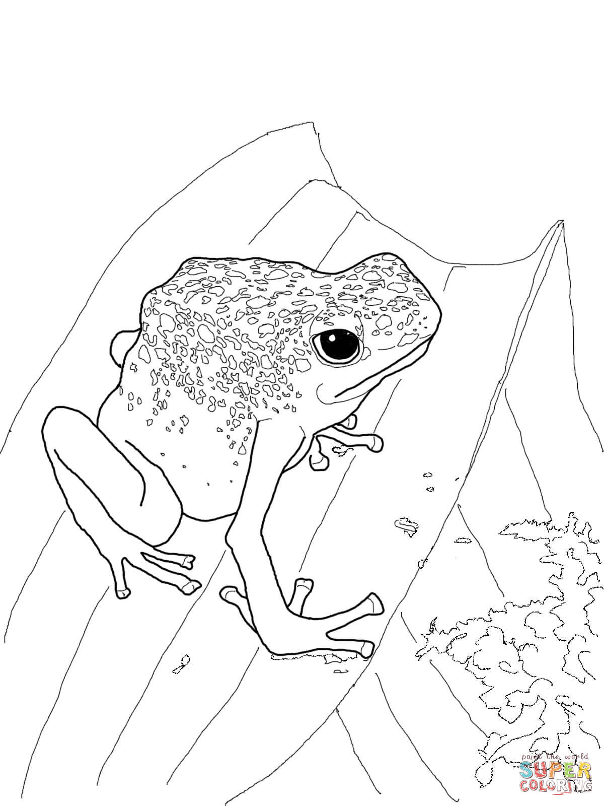 Blue Poison Dart Frog Coloring Page Free Printable Pages On Red 1200x1600 Blue Poison Dart Frog Coloring Page Free Printable Pages On Red