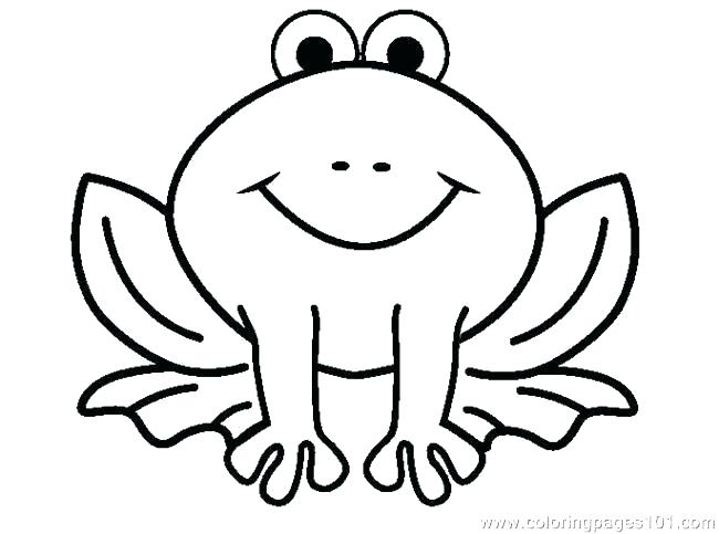 Red Eyed Tree Frog Coloring Page at GetColorings.com | Free printable ...