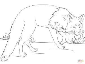 300x224 Free Download Red Fox Coloring Pages