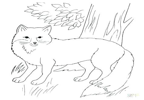 Red Fox Coloring Page at GetColorings.com | Free printable colorings ...