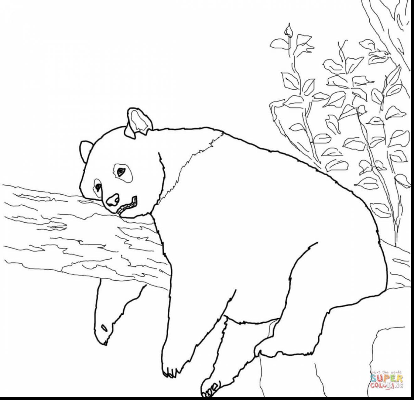 1320x1276 Kung Fu Panda Coloring Pages For Kids Best Of General Colouring